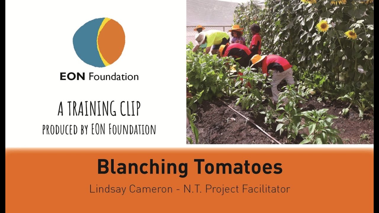 EON - Blanching Tomatoes