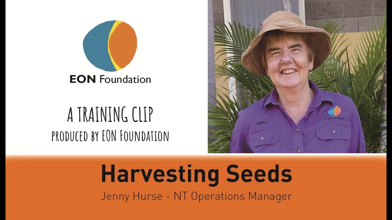 EON - Harvesting Seeds